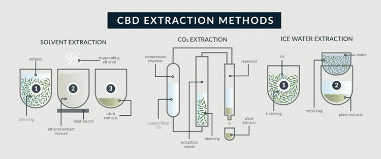 Cannabis Oil Extraction Method