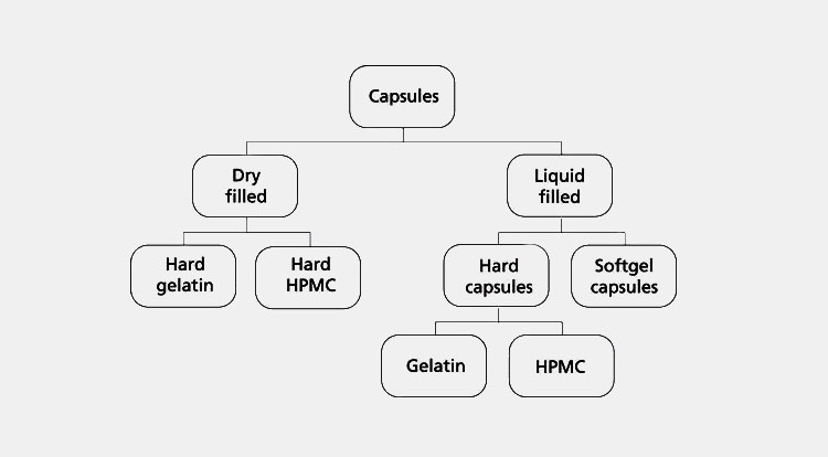 Types of Capsules can Automatic Capsule Filling Machine fill