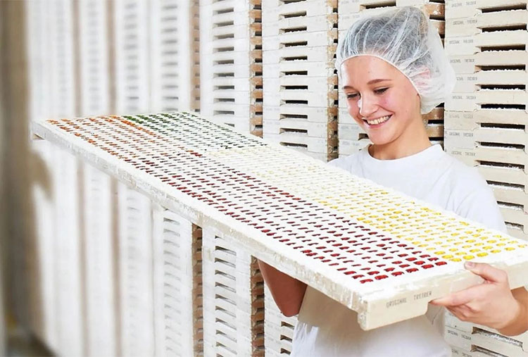 Storage of Sugar-Free Gummy Bear