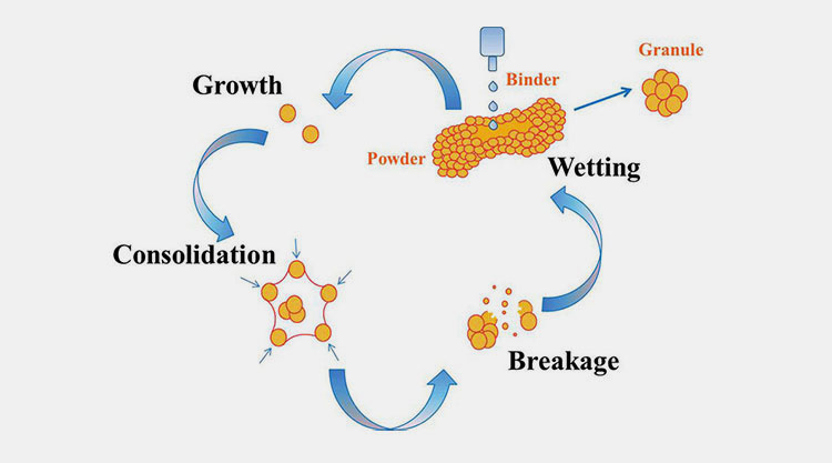 wet granulation