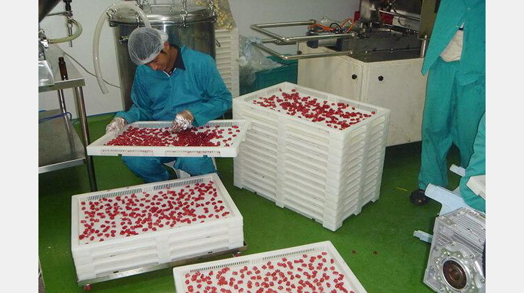 Gummy Bears Manufacturing