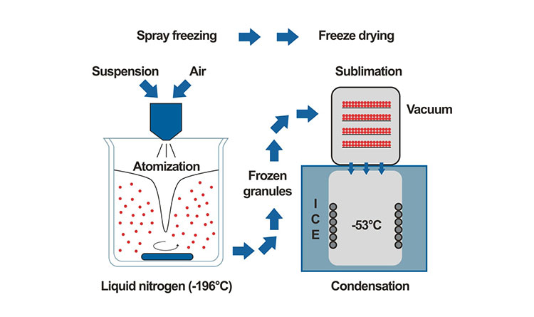 Freeze Granulation