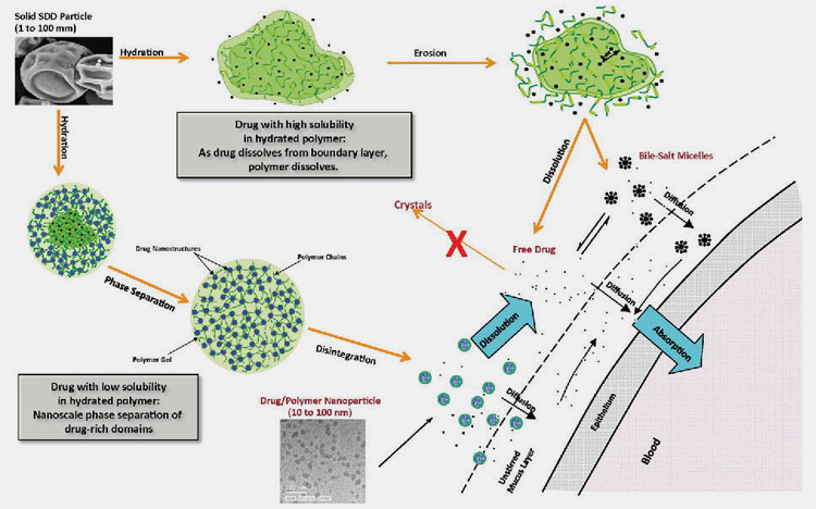 Pharmaceutical Industry-4