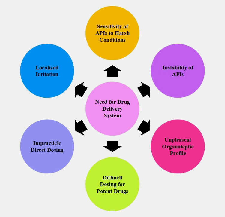 Drug Delivery System-1