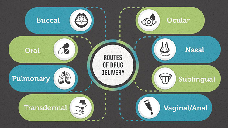 Drug Delivery System-3