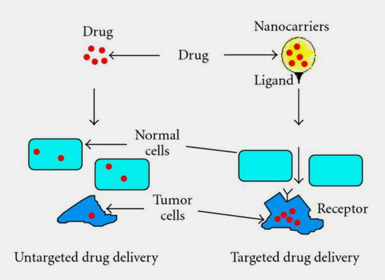 Targeted Drug Delivery