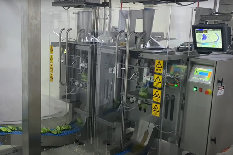 Pillow Powder Packing Machine