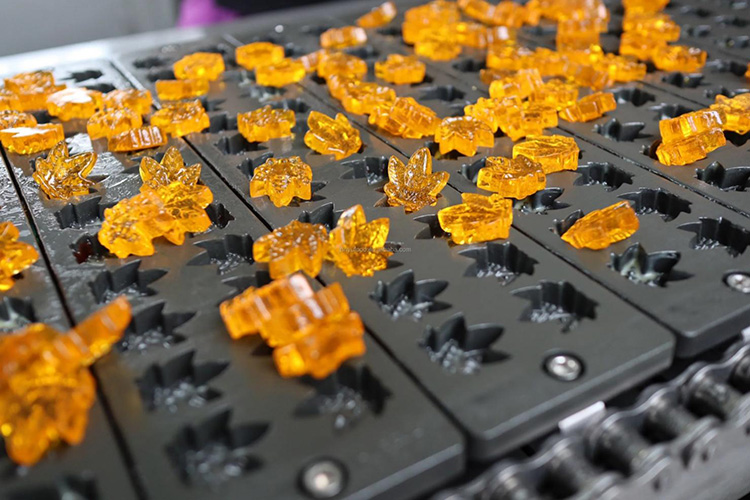 Gummy Molds: The Complete FAQ Guide in 2024 – AIPAK