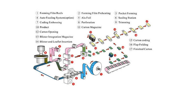 Working Principles Of A Blister Line