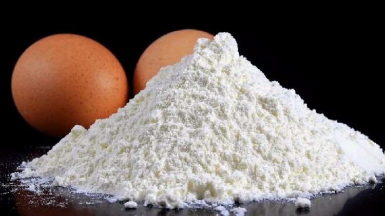 Egg Albumen Powder