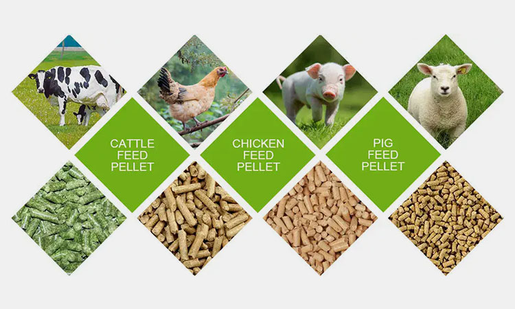 Animal-Feeds-Industry
