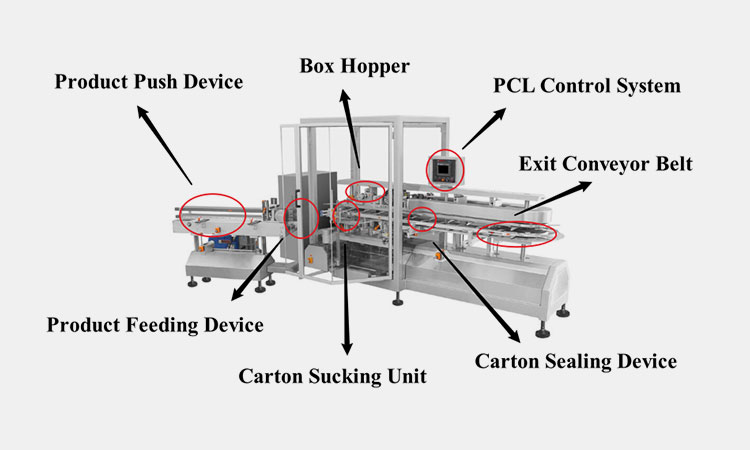 Main-Parts-Of-Cartoning-Machine-For-Tray