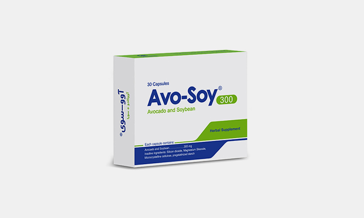 Avo soy