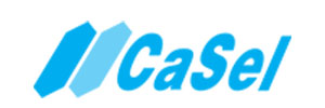 Casel logo