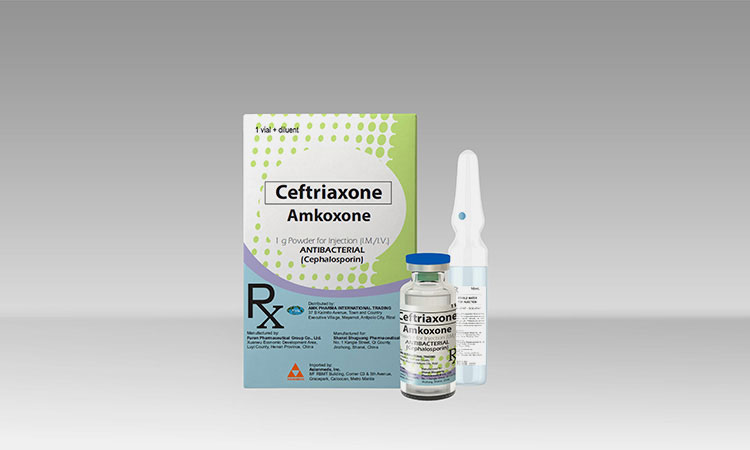 Ceftriaxone-6