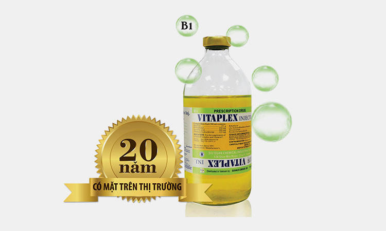 VITAPLEX-ENERGY-BOOST-INFUSION