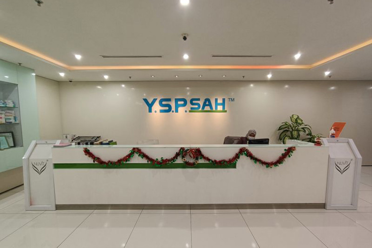 Y.S.P. Industries (M) Sdn Bhd