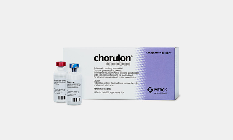 chorulon