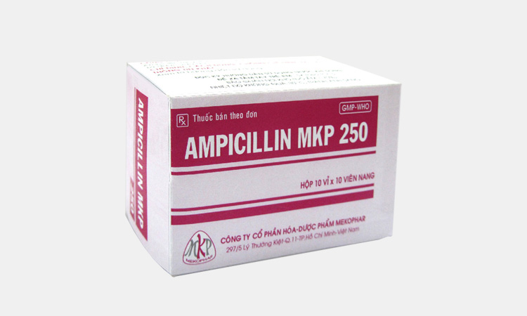 Ampicillin MKP 250mg