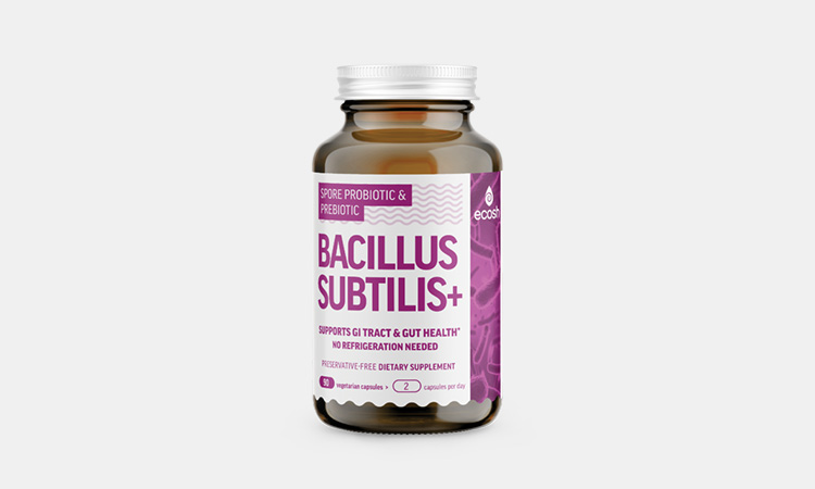 BACILLUS-SUBTILIS-+