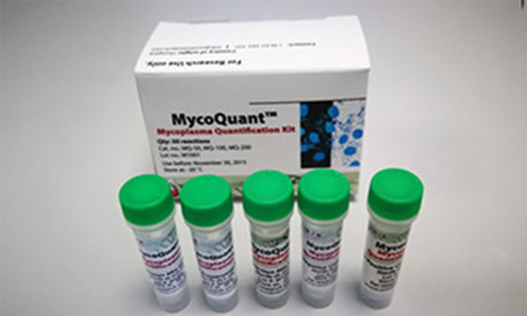 MycoQuant-featured