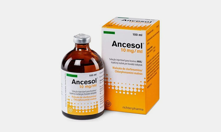 ancesol