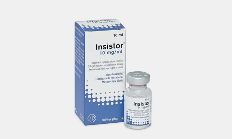 insistor