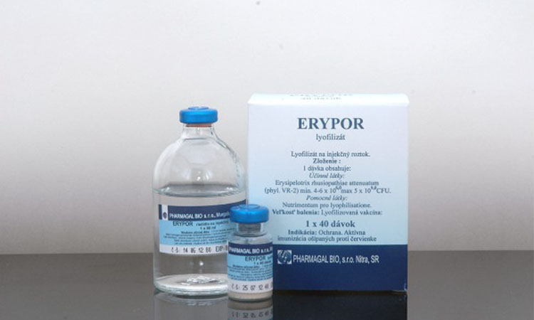 ERYPOR