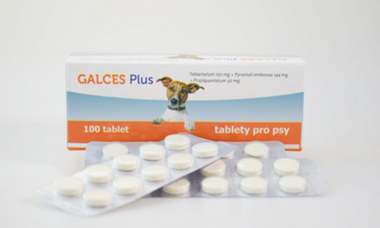 galces plus