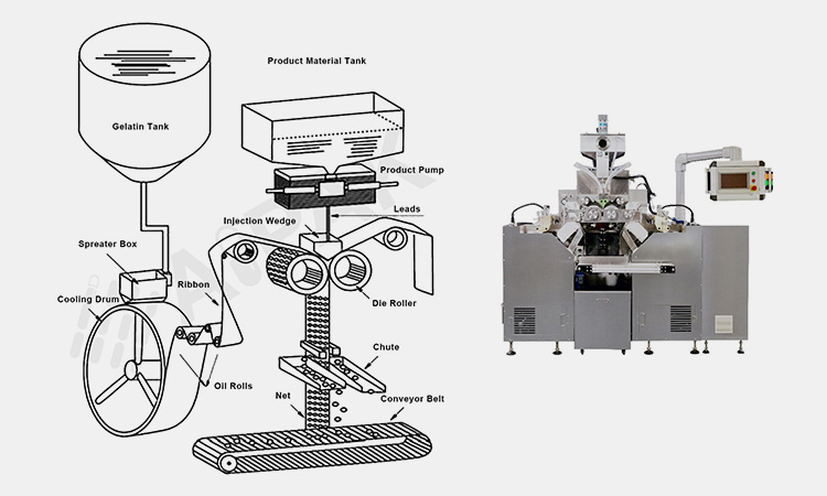 Main-components-soft-gel-capsule-machine