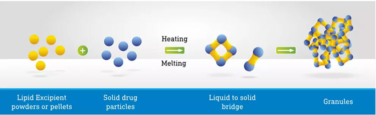 Melt Granulation