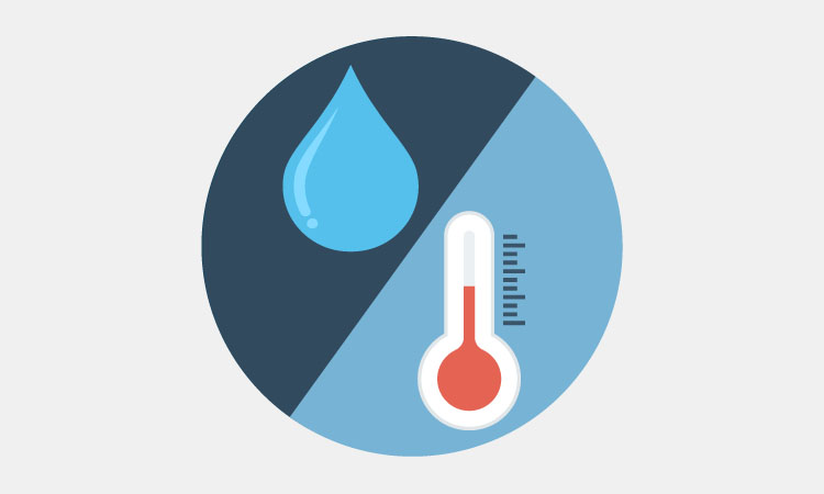 Temperature And Humidity