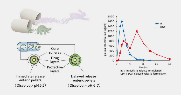 The releasing time for delayed release capsules