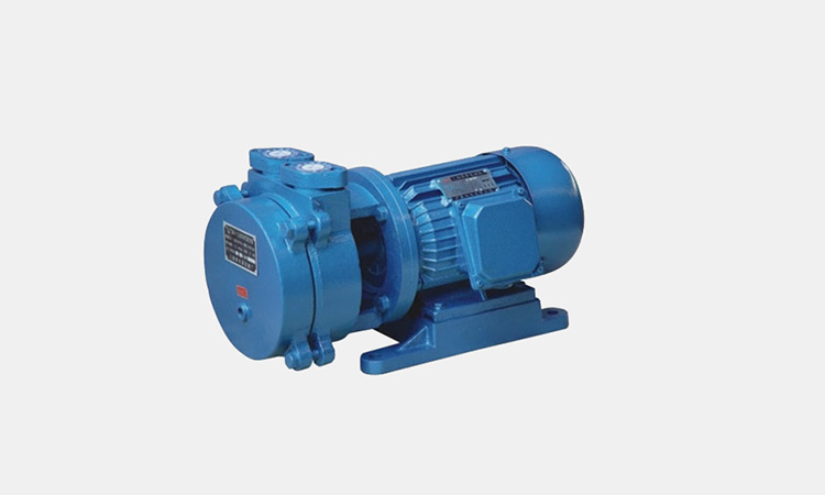 Vacuum-pump