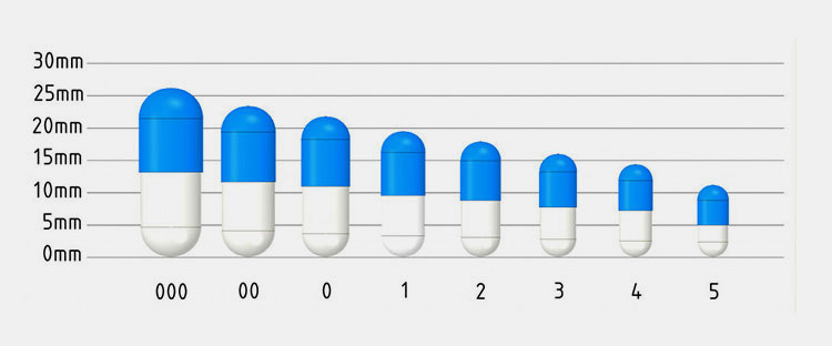 Various sizes of capsules