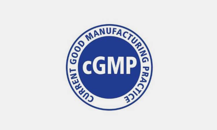 cGMP