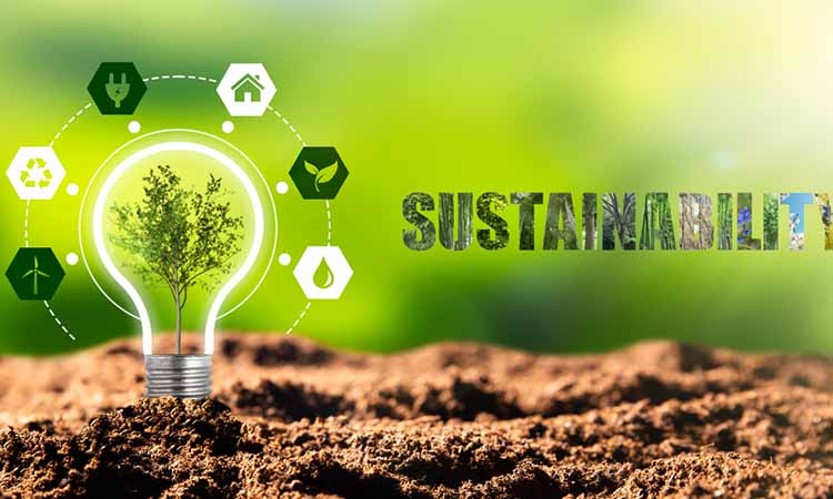 More Focus On Sustainability