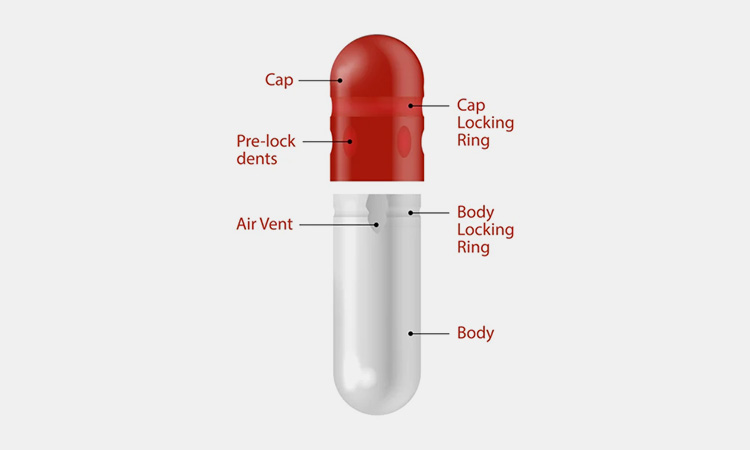 To-distinguish-the-capsule-cap-from-the-capsule-body