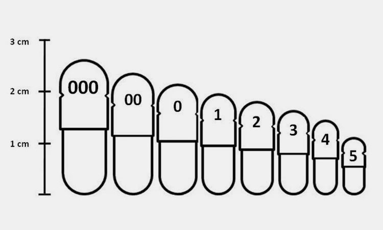 Capsule shell size