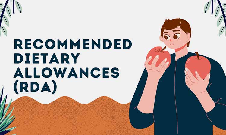 Recommended Dietary Allowance