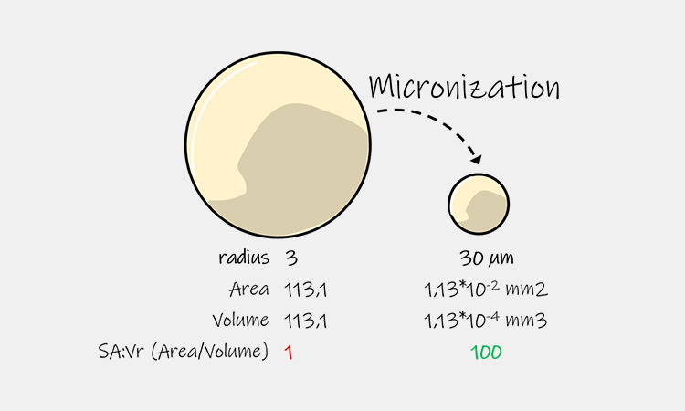 Micronization-technology