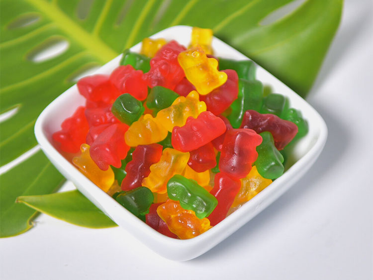 Protein Gummy Bears