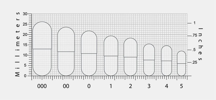 Sizes of the hard gelatin capsules