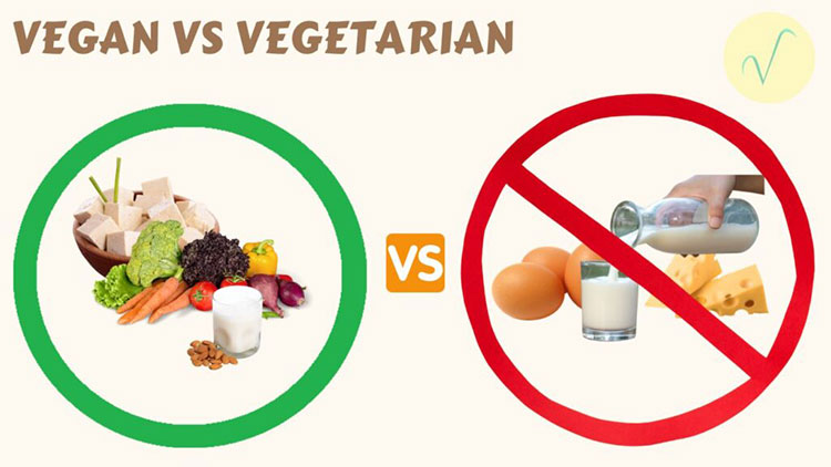 Vegan or Non-Vegan