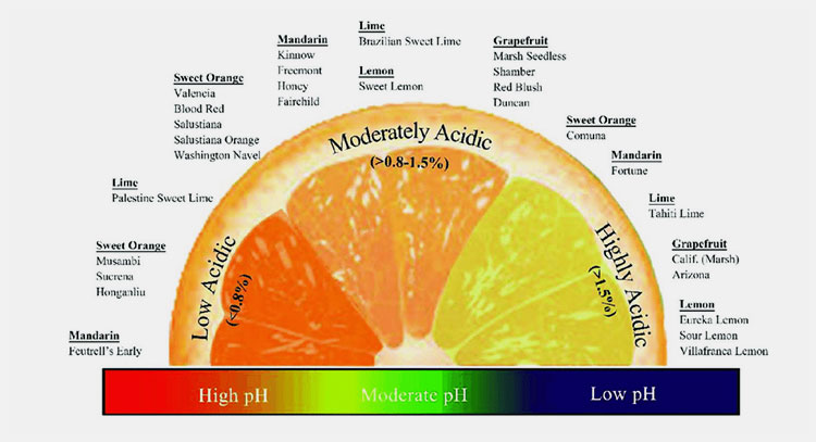 level of pH in gummies acidic