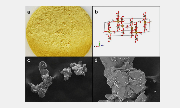 Crystal-form-and-surface-properties