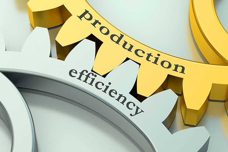 Efficiency in production