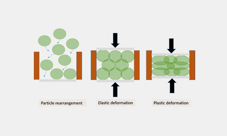 Plasticity